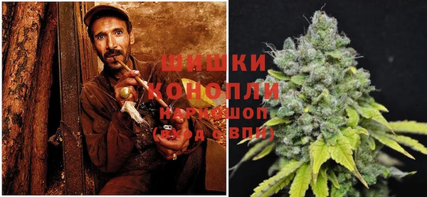 сатива Наволоки