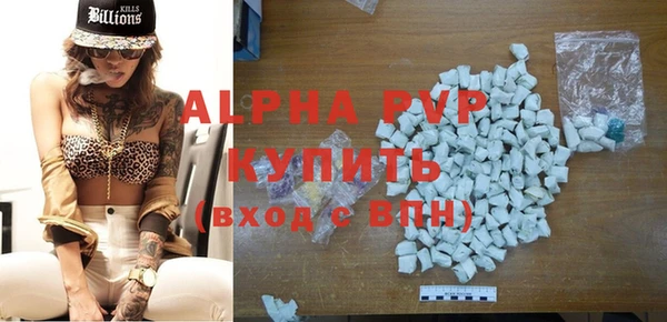 стаф Надым