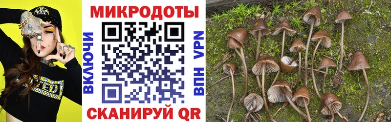 закладки  Порхов  Галлюциногенные грибы мухоморы 